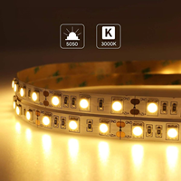 ESann BOSTON USA CUSTOMERS IP20 SMD LED TV Backlight avec télécommande pour la décoration de la maison