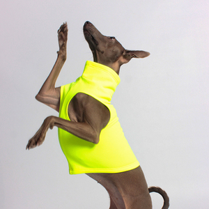 Whippet-ropa para mascotas, protección térmica en blanco y rojo, chaleco gris cálido - Product Image 5
