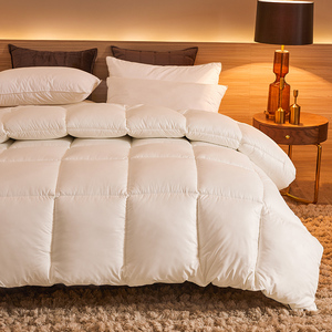 Coperta in piuma d'<span class=keywords><strong>oca</strong></span> ungherese per tutte le stagioni perfetta trapunta per piumino d'<span class=keywords><strong>oca</strong></span> - Product Image 5