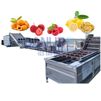 Déshydrateur Commercial pour Fruits et Légumes, Machine à Sécher les Loquat, les Baies, les Framboises et les Fruits à Infuser