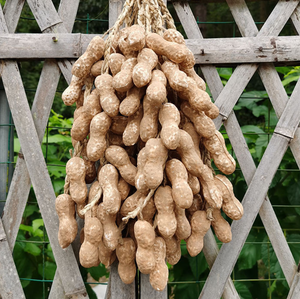 Lanière en plastique avec pendentifs <span class=keywords><strong>d</strong></span>écoratifs en forme de légumes artificiels (<span class=keywords><strong>ail</strong></span>, poivre, cacahuète) - Product Image 6