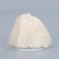 Klubersynth NBU15 Graisse de remplacement analogique pour roulements anti-usure à haute température pour roulements à haute vitesse de rotation Arbre principal