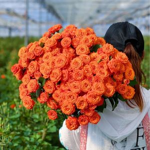 ดอกกุหลาบสดหลายหัว ดอกยาว ขายส่ง สำหรับจัดแต่งทรงผมตรง งานแต่งงาน - Product Image 5