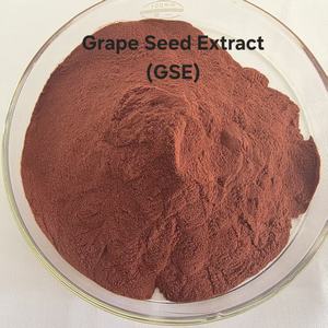有機グレープシードエキス粉末 食品グレード 99% 純粋天然植物エキス 溶媒抽出 真空パック カスタマイズ可能ドラム - Product Image 2