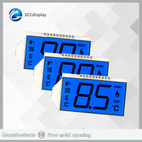 Modulo Display LCD a 7 Segmenti HTN Positivo con Retroilluminazione LED Blu Personalizzata, Luminosità 500, SJXDGN024 4.5V, Display a Due Cifre