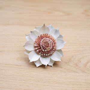 Handmade <b>White</b> 8 cm Sola Wood <b>Flowers</b> Eco-friendly <b>Artificial</b> Reed Diffuser Indoor Home Decorative Plants Wholesale Wedding - Product Image 2