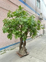 Grands arbres et plantes artificielles de qualité supérieure, feuillage ornemental pour la décoration extérieure