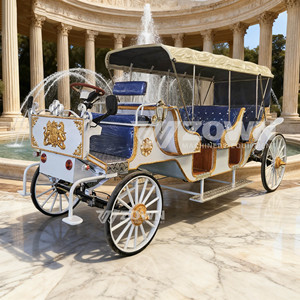 Voiture électrique royale multi-passagers blanche et bleue avec emblème doré pour les excursions panoramiques des châteaux - Product Image 6