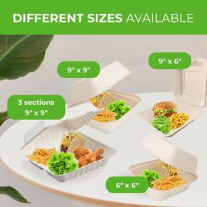 Biodegradable Disposable Cornstarch Lunch Box Clamshell Food <b>Container</b> Microwave Freeze Safe Camping <b>Takeaway</b> Takeout Packaging - Product Image 3