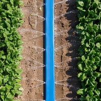 Tuyau d'irrigation à double aile, micro-asperseur, bande d'irrigation plate, ruban d'arrosage basse pression pour serre et ferme maraîchère