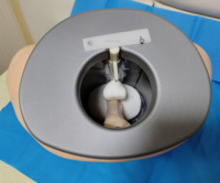 Mannequin d'enseignement médical modèle anatomique de simulateur d'examen de la prostate humaine éducatif pour l'examen de la prostate