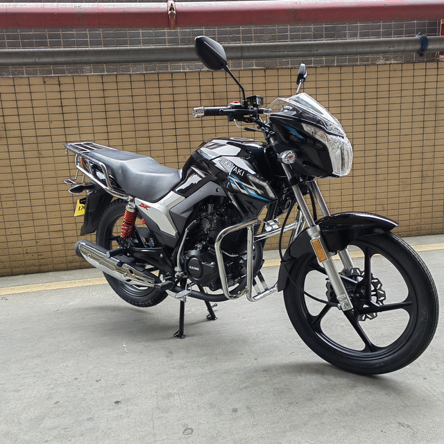 1500W Chopper E Motorcycle Electrical Motorcycle Mobility Electric Scooters