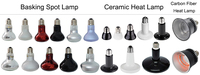 Lampe chauffante infrarouge R63 R80 25W-100W, ampoule infrarouge réfléchissante pour reptiles, lampe chauffante de nuit rouge pour tortue, poulailler