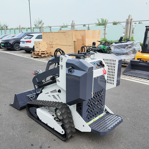 Miễn phí vận chuyển giá rẻ Mini Skid chỉ đạo Bộ nạp DIESEL Mini Skid Steer lật bánh xe tải Mini - Product Image 6