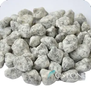 China Machine Made Granite Stone Small White Pebbles For Garden Cheap