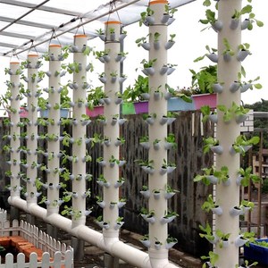 Système de culture hydroponique vertical DIY pour jardin et balcon, pot de plantation de fraises, serre, coupelles de colonisation en PP - Product Image 6