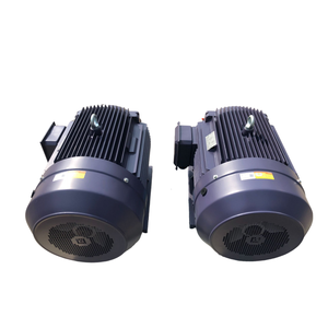 มอเตอร์ไฟฟ้ากระแสสลับแบบอะซิงโครนัสสามเฟสประสิทธิภาพสูงยี่ห้อ Squirrel - Product Image 3