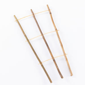 Poteau en <span class=keywords><strong>bambou</strong></span> prêt à l'emploi <span class=keywords><strong>pour</strong></span> <span class=keywords><strong>support</strong></span> de fleurs de jardin de cour et vigne grimpante Le <span class=keywords><strong>bambou</strong></span> améliore l'expérience de jardinage - Product Image 1