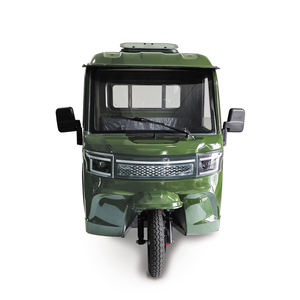 3000W Điện hàng hóa ba bánh cập nhật mới 1000W cơ giới Trike cho người lớn EEC/<span class=keywords><strong>coc</strong></span> phê duyệt ba bánh hành khách mang theo Trike - Product Image 5