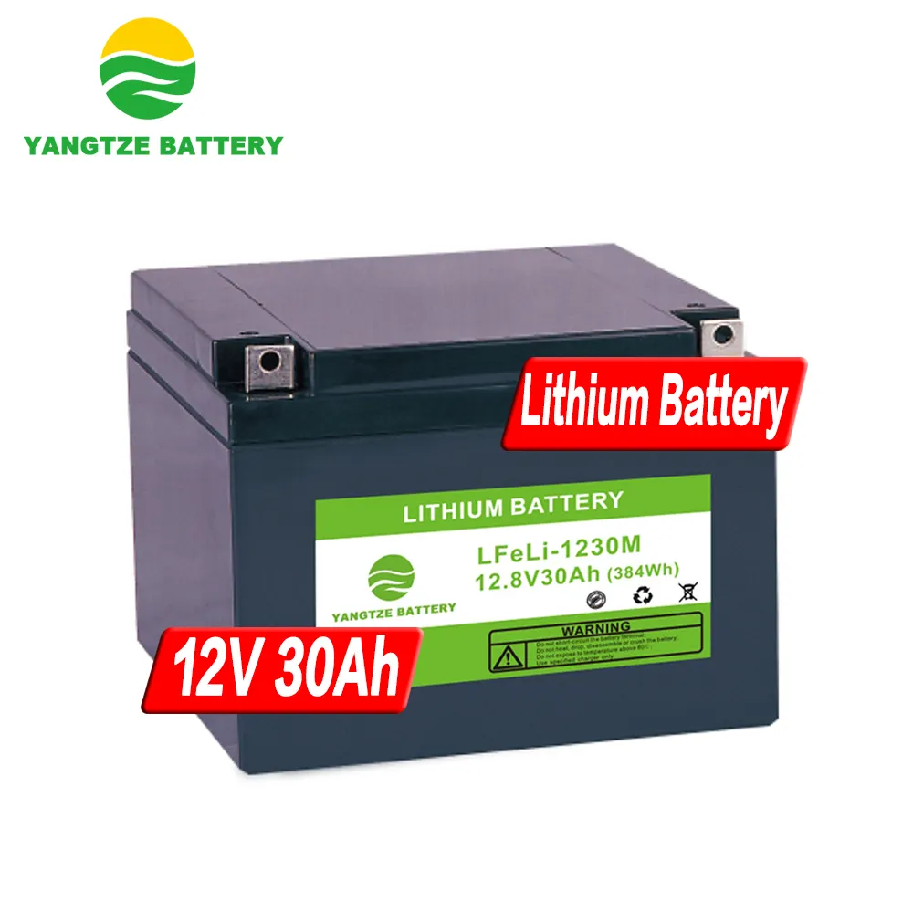 Yangtze 12V Lithium Sepeda Listrik Baterai LiFePO4 12V 24V 36V 30ah