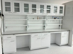 Banc de laboratoire en métal portable - Table de laboratoire légère pour <span class=keywords><strong>les</strong></span> tests sur le terrain, l'hôpital et l'atelier, utilisation <span class=keywords><strong>dans</strong></span> <span class=keywords><strong>les</strong></span> laboratoires mobiles - Product Image 2