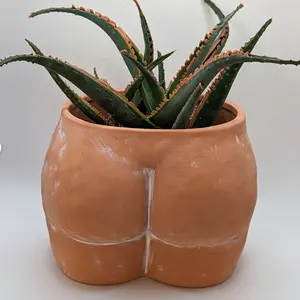 Modern Artistic Terracotta Body Pot with Drainage Hole Clay Planter for Home and Garden for Flower Decoration