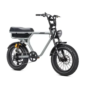 Bafang Brushless Motor 48V500W 20*4.0 Inch Fatbike Suspension Fork Hybrid Ebike Electric Bike