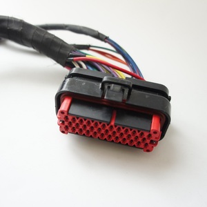 Kabel Kawat dan Harness Produsen Wiring Harness Pengganti Wiring Harness Wiring Harness Lengkap untuk Mobil Kabel Kustom - Product Image 4