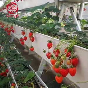 Không thấm nước PVC mưa máng xối uPVC tấm nhựa nước trang trại trồng kênh mái Phụ kiện cho dâu tây - Product Image 1