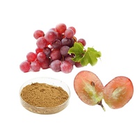 B.c.i Leveren Druivenvruchten Zaad P.E. Plantenpolyfenolen 80% Proanthocyanidine Poeder 95% Druivenzaad Extract Capsule
