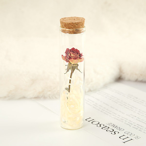 <span class=keywords><strong>Mini</strong></span> rose éternelle premium en tube à essai, fleur séchée, bouteille à vœux pour la décoration intérieure, cadeau de la Saint-Valentin - Product Image 3
