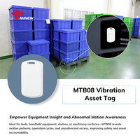 Capteur de position d'accélérateur, moniteur de vibrations, capteur de vibrations sans fil intelligent pour l'industrie IoT, Bluetooth BLE 5.3, balise d'identification d'actifs
