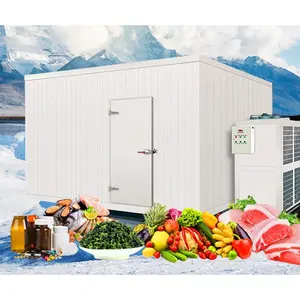 Penyimpanan oranye 4HP freezer ruang dingin untuk daftar harga buah dan sayur
