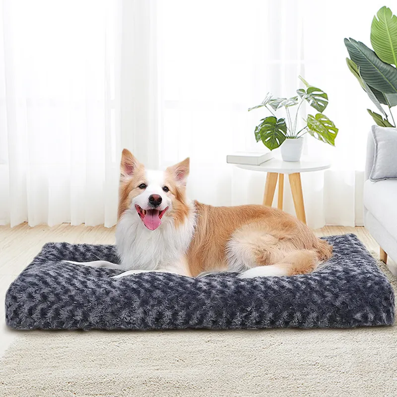 luxury memory foam xl large waterproof orthopedic fluffy plush calming pet cushion couch pillow mattress sofa cat pet dog bed