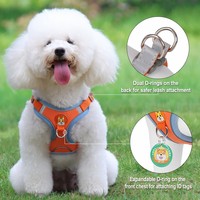 Arnés Reflectante Personalizado al por Mayor para Perros con Logotipo, Conjunto de Correa de Malla Transpirable, Doble Seguridad, Ajustable, Antitirones, para Paseos al Aire Libre