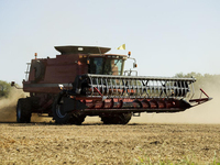 Moissonneuse-batteuse à alimentation complète GN60 140-150HP pour la récolte du riz, du blé, du maïs et du soja