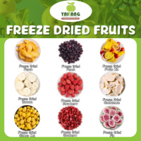 Plátanos Liofilizados en Oferta, Fruta Liofilizada de Alta Calidad, Chips de Plátano Crujientes, Plátanos Liofilizados