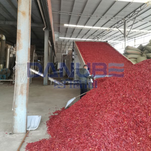 Línea de Producción de Tecnología de Vanguardia para Limpieza, Secado y Molienda de Chiles, Secador de Chiles con Cinta de Malla - Product Image 1