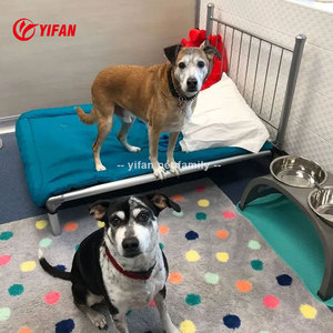 Cama Elevada de Lujo para Perros con Marco de Aluminio Plateado, Tela de Malla Resistente, Diseño Único, Resistente a Mordeduras, Patrón Sólido, Cama Elevada para Mascotas - Product Image 3