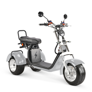 <span class=keywords><strong>Vélo</strong></span> électrique tricycle récréatif 4000W pour adultes, trois roues, différentes couleurs, vente directe 2026 - Product Image 4