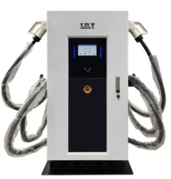 Chargeur de stockage solaire DC à DC Station de charge de voiture EV 30-60kw double support de sol Chargeur EV