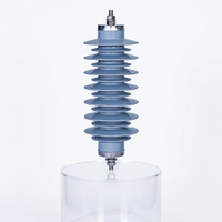 Penangkal Lonjakan Seri YH5W/6kV/9kV 10kA