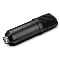 Microphone filaire portatif à condensateur Lane Professional avec bras réglable
