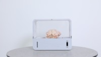 Usage domestique Champignons Jardin Système De Culture Circulant Smart Table Jardin Mini Serre Avec Commande Tactile Pour Cadeau De Festival
