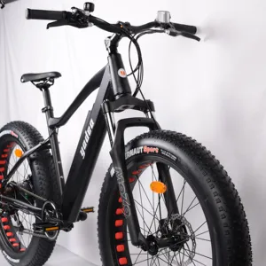 새로운 제품 산악 전자 자전거 전기 자전거 26 "지방 타이어 전기 모터 자전거 리튬 배터리 고속