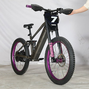Bicicleta Eléctrica Personalizada de Carreras de 24 Pulgadas, 48V, 15Ah, 1000W, Motor Potente, 60Km/h, para Niños, Adolescentes y Jóvenes - Product Image 5