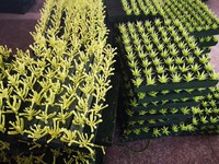 Ensemble de Faux Succulent séchés, 7 pièces, styles différents