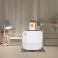 Ampoule LED de Gros à Prix Abordable, Lampe de Charge Rechargeable, Lumière Solaire d'Urgence pour Camping et Tente