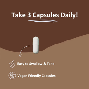 Cápsulas de Shilajit de Alta Calidad en Venta, Suplemento Dietético que Apoya el Metabolismo y Mejora el Rendimiento Cognitivo para Adultos - Product Image 6