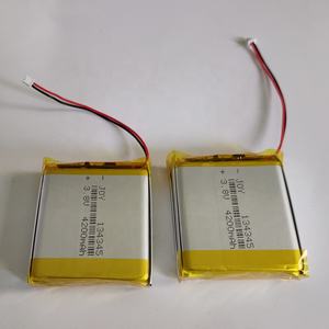 624038 1000mah 801990 1900mah 104055 3000mah 845157 3700mah 9055160 11000mah 923949 2500mah 456495 3800mah li 폴리머 배터리 - Product Image 3